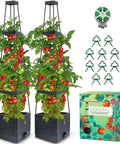 2 Pack Tomato Planter With Trellis, 57 Inch Self Watering Raised Garden Bed Planter Box for indoor and outdoor tomatoes, vines, vegetables.
