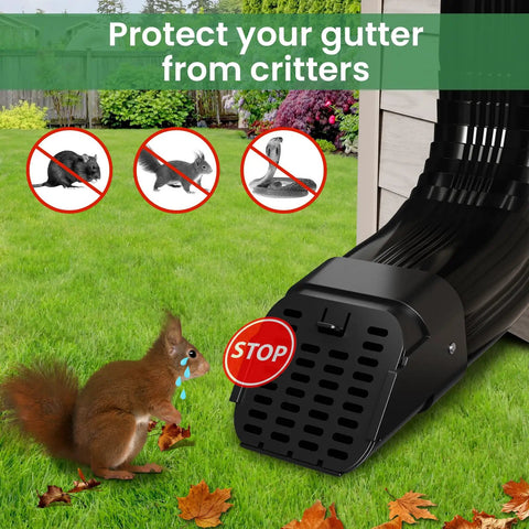 2 Pack No Sweat Heavy Duty Gutter Downspout Guards Fits 2X3 And 3X4 Type A Pipes near a squirrel blocking critters.