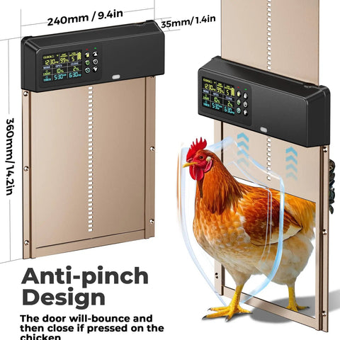 Solar Powered Automatic Chicken Coop Door No Brainer With 656 Foot Remote Control And 3500mAh Battery Intuitive Color LCD Display Anti Pinch Safety Sensor Weather Resistant Aluminum Body For Poultry with a chicken passing through.