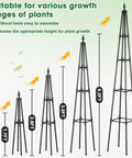 Diagram showing various sizes of the Beefy 6 Foot Garden Trellis For Climbing Plants With Thickened 16mm Metal Pipes.