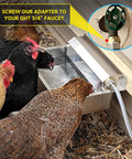 Slick Automatic Dog Water Dispenser With Hella Sturdy Two Gallon Stainless Steel Bowl For Indoor Outdoor Setup and Dead Simple Livestock Hydration Fitting Standard Faucet Adapters with chickens drinking water.