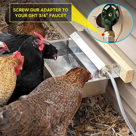 Slick Automatic Dog Water Dispenser With Hella Sturdy Two Gallon Stainless Steel Bowl For Indoor Outdoor Setup and Dead Simple Livestock Hydration Fitting Standard Faucet Adapters with chickens drinking water.