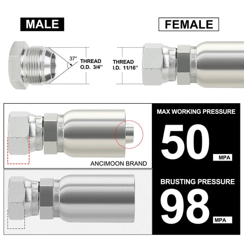 ANCIMOON 1/2 in ID to 1/2 in JIC 37° flare swivel hydraulic hose fittings, 10pc set; stainless steel, male and female ends, front view