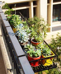 Outdoor balcony rail with colorful pots containing various succulent plants in a metal holder, sunny day view.
