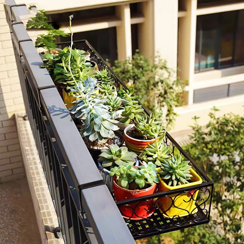 Outdoor balcony rail with colorful pots containing various succulent plants in a metal holder, sunny day view.