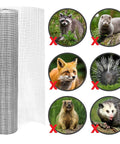 Half Inch Hardware Cloth Roll 36 Inch By 50 Foot Hot Dipped Galvanized After Welding Wire Mesh protects yard from pests like raccoons.