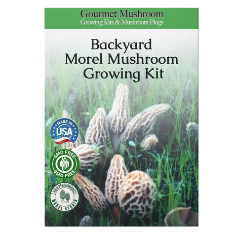 Grow Gourmet Morels At Home With This Easy Morchella Mushroom Kit For Backyard Growers Works In Any Soil Type Across The USA Full Instructions