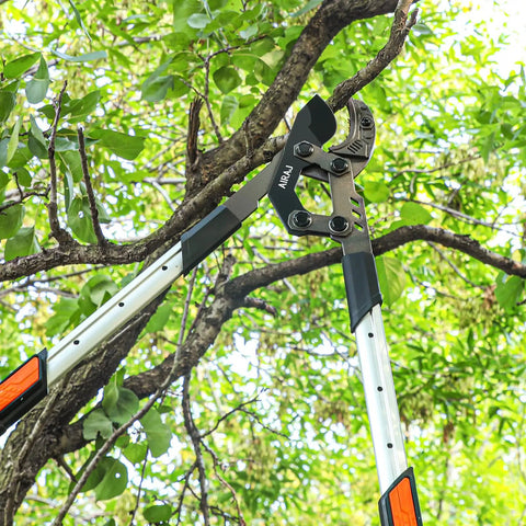 Extendable Anvil Loppers For Garden Pruning, Heavy Duty Tree Trimmer With 27 To 37 Inch Adjustable Aluminum Handle, 2 Inch Cutting Capacity