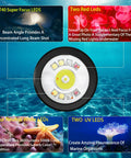 Diagram of Four In One Dive Light for Scuba with focus on SFT40, red, neutral white, and UV LEDs for underwater use.