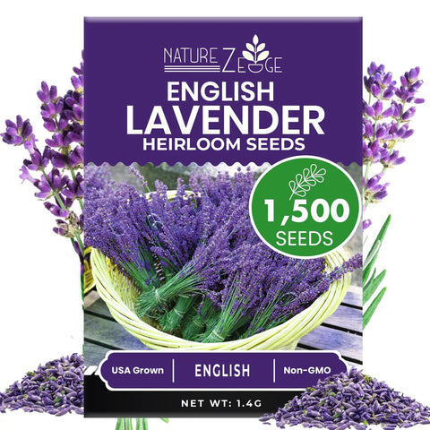 lavender seed kit English Lavender Seeds For Indoor And Outdoor Planting With High Germination, Non-GMO Heirloom Herb Seeds, Fragrant Blooms For Gardens, Borders And