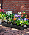 Ten Pack No Drain Holes Seed Starter Trays Made From Durable Reusable Plastic with potted plants in outdoor setting