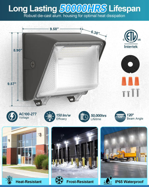 Beefy 100W Tunable LED Wall Pack With 3 Color Switchable Modes 15,000 Lumens Output IP65 Outdoor 100-277V front view