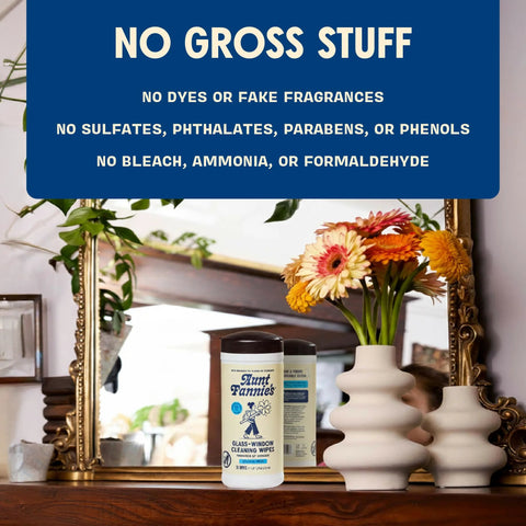 Front view of Aunt Fannie’s Glass & Window Cleaning Wipes bottle (35-count) on wood surface with vase and mirror.