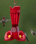 Hummingbird Feeder With Pinch Waist Design No Fuss No Mess Easy Fill And Clean With Bee Guards Keeps Bees Out Four Flower Ports 8 Ounce Capacity Outdoor Garden Or Patio Bird Feeder