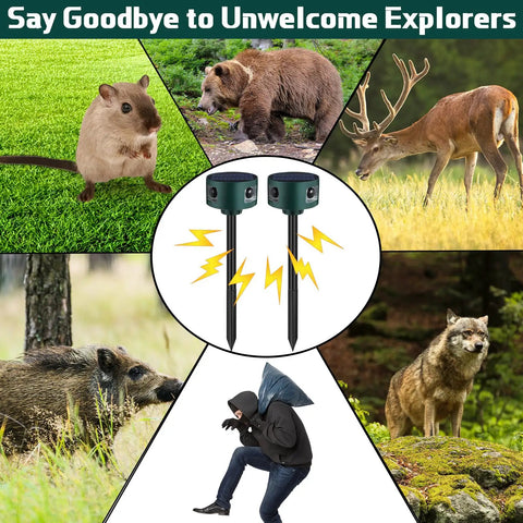 Two Pack Solar Indoor And Outdoor Motion Alarm With Ultrasonic Deterrent 360 Degree Detection Animal Repellent in action