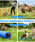 Dog Agility Course Backyard Set For Training And Totally Fun, Easy Setup Obstacle Kit with poles, tunnel, pause box in use