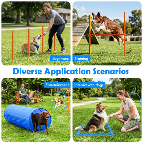 Dog Agility Course Backyard Set For Training And Totally Fun, Easy Setup Obstacle Kit with poles, tunnel, pause box in use