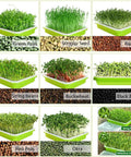 2 Pack Seed Sprouter Tray With Humidity Lid BPA Free Food Grade Soil Free Sprouting Kit For Wheatgrass Microgreens Beans Peas