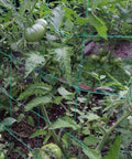 Heavy-Duty Garden Trellis Netting For Climbing Plants UV Stabilized Polyethylene Mesh That Is Beefy Enough For Cucumber Tomatoes Melons Vines Fruits Vegetables 1 Pack 8.2 By 6.6 Ft.