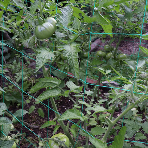 Heavy-Duty Garden Trellis Netting For Climbing Plants UV Stabilized Polyethylene Mesh That Is Beefy Enough For Cucumber Tomatoes Melons Vines Fruits Vegetables 1 Pack 8.2 By 6.6 Ft.