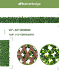 20 By 50 Inch Artificial Privacy Grass Wall Decor With Ficus Leaves And Faux Trellis Expandable Lattice Panels dimensions