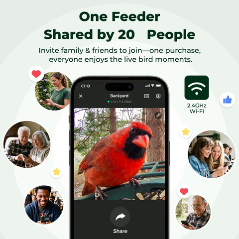 Smartphone displaying cardinal bird from Solar Powered Smart Bird Feeder With Camera AI Species ID 8MP Photos And 4K Ultra HD Video Live Stream