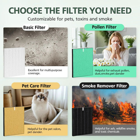 Chart comparing filter options: basic for general use, pollen for allergies, pet care for pet odors, smoke remover for smoke.