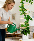 Woman watering Ultra Tall 3ft Wooden Ladder Trellis for Climbing Plants in living room setup