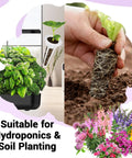 Hydroponic Flower Seed Pods Kit With 8 Pods And 600 Plus Non GMO Heirloom Seeds Including Marigold Lavender Petunia Dark Pink Dianthus Clover And Snapdragon For Easy Indoor Or Outdoor Garden Growing on display with hand planting seedling and flowers.