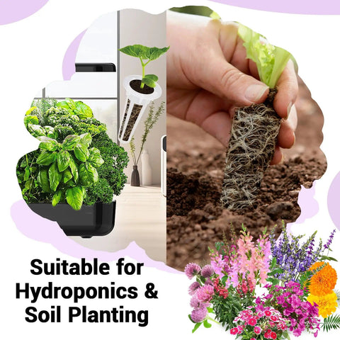 Hydroponic Flower Seed Pods Kit With 8 Pods And 600 Plus Non GMO Heirloom Seeds Including Marigold Lavender Petunia Dark Pink Dianthus Clover And Snapdragon For Easy Indoor Or Outdoor Garden Growing on display with hand planting seedling and flowers.