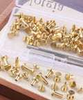 Hella Tough Solid Brass Chicago Screws And Leather Rivet Studs Kit Featuring Slick Plated Finish And 8mm Heads in storage box.