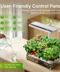 Indoor Hydroponics Growing System Kit With 13 Pods Dimmable Grow Light Four Liter Visible Water Tank on kitchen counter
