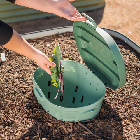 Person adding kitchen scraps into In Ground Worm Composter Twin Pack For Outdoor Gardens 7 Gallon BPA Free Sage Green Compost Bin System