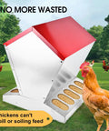 Heavy Duty Galvanized Chicken Feeder Rat Proof Poultry Food Dispenser With Secure Lid Weatherproof Coop Feeder For Your Backyard Flock in grass with chicken.