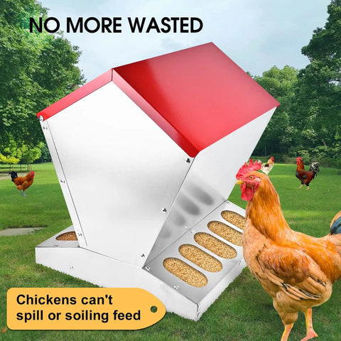 Heavy Duty Galvanized Chicken Feeder Rat Proof Poultry Food Dispenser With Secure Lid Weatherproof Coop Feeder For Your Backyard Flock in grass with chicken.