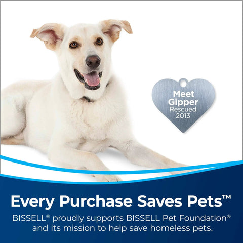 White dog named Gipper with heart-shaped tag reading 'Meet Gipper Rescued 2013', promoting pet adoption initiative.