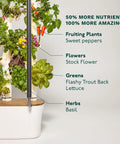 Indoor Vertical Hydroponics Kit For Home Gardening With LED Grow Lights Grows 30 Non GMO Plants Herbs And Vegetables In Just 2 Sq Ft