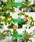 Close-up of Vertical Indoor Hydroponic Tower Garden System with 30 Pods showing leafy greens, fruits, and herbs.