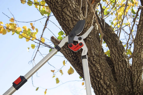 DualLINK Extendable Branch Cutter loppers with bypass blade cutting tree branch, telescoping handles, Comfortgel grips, Shockguard.