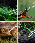 4 Piece Aquascaping Tool Kit For Aquariums with tweezers feeding turtle and tortoise, maintaining plants in tank