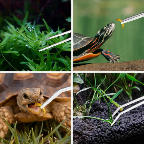 4 Piece Aquascaping Tool Kit For Aquariums with tweezers feeding turtle and tortoise, maintaining plants in tank