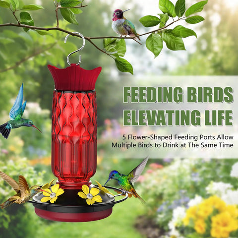 Hanging Hummingbird Feeder With Five Flower Shaped Feeding Ports 16 Oz Bird Feeder Bee Proof Design Built In Ant Moat