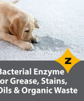 Pro Grade Multisurface Probiotic Enzyme Cleaner For Pet Stains And Odors, Drain Cleaner Power, on carpet with puppy