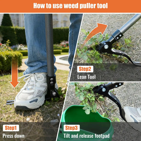 Stand Up Weed Puller Tool With 45 Inch Steel Handle And Four Claw Head For Upright Weeding No Bending Or Kneeling All Steel Construction Garden Maintenance demonstrating use steps