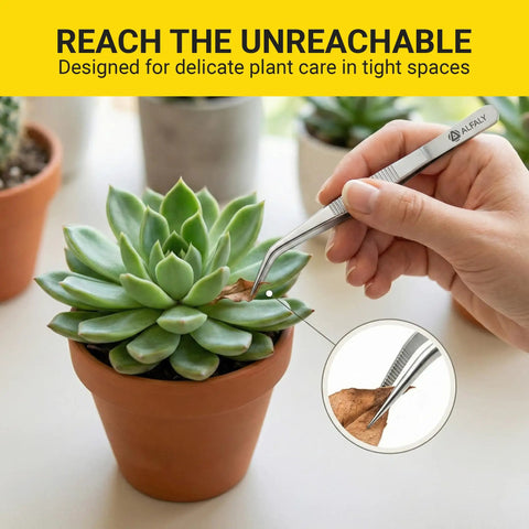 Four Piece Garden Tweezers Set Six Point Three Inch Long Plant Tweezers For Succulents Bonsai And Cactus Gardening Stainless Steel Multi Purpose Seed Tweezers For Kitchen Crafts Aquarium Reptile Terrarium Comes With Premium Storage Bag, used on succulent