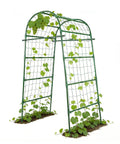 7 Foot Tall Garden Arch Trellis For Outdoor Climbing Plants Heavy Duty Metal Archway Arbor Support For Vegetables Beans Squash Peas Grapes And Flowers Built To Last For Raised Beds And Garden Vines shown in green with vines.