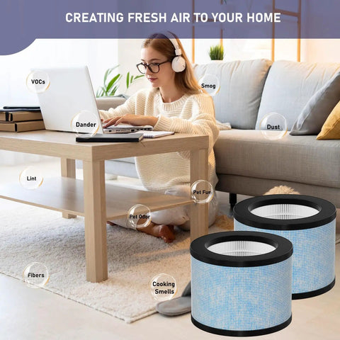Woman using laptop in cozy living room with HEPA Replacement Filter Pack That Fits AROEVE Kloudi ToLife FreAire And More Air Purifiers next to her