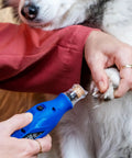 Using No-Fuss Rechargeable Pet Claw Grinder For Dogs And Cats Quiet Lightweight Rotary Nail Trimmer on a dog's paw.