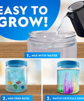 Instructions for Underwater Crystal Growing Science Kit For Kids Grow 8 Colorful Crystals In A 360 Degree Viewing Canister.