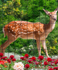 Deer behind Black PVC Coated Welded Wire Fence 24 Inch By 50 Foot Garden Border Mesh 2x3 In 16GA Vinyl Coated Galvanized Steel Wire